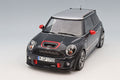 OttO OTM497 1/18 MINI JCW GP2 R56 2012 Gray Resin