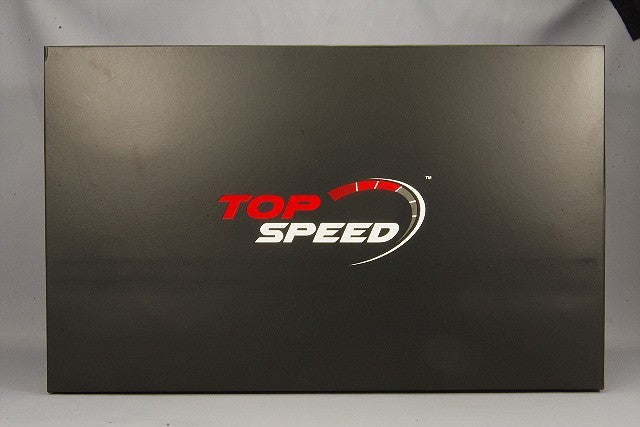 TOP SPEED TS0271 1/18 Acura NSX GT3 2017 Watkins Glen Winner