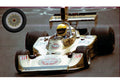 Wolf Models GP20107 1/20 Hesketh 308B Italian GP 1975 H.Ertl Resin Model Kit - image 1